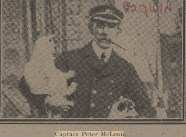 Captain Peter Mclean Of The Tuscania. Pictured In The Daily Mirror In February 1918. He Was One Of The Last To Be Rescued From The Tuscania.
