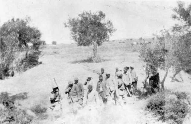 Chunuk Bair Pows