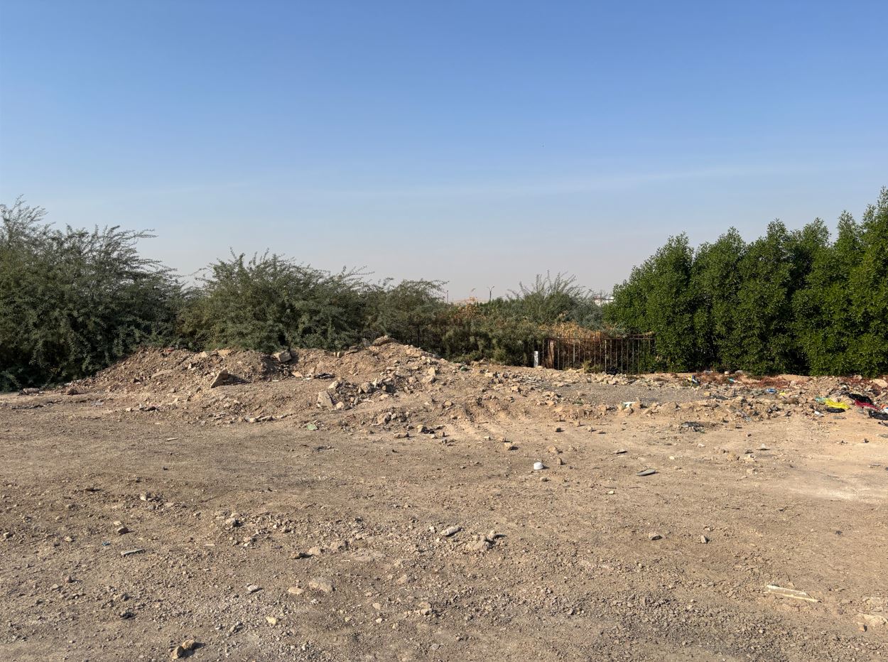 Amara Gatehouse Demolished