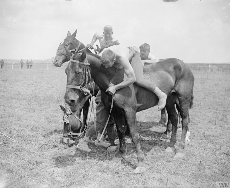 Horse Show Organised By The XIII British Corps At Ecoivres, 20 June 1917. Wrestling On Horseback.