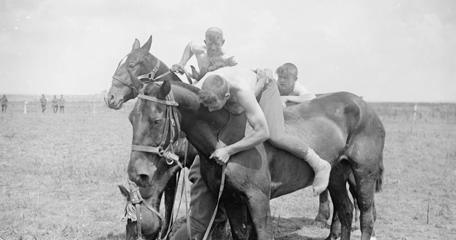 Horse Show Organised By The XIII British Corps At Ecoivres, 20 June 1917. Wrestling On Horseback.