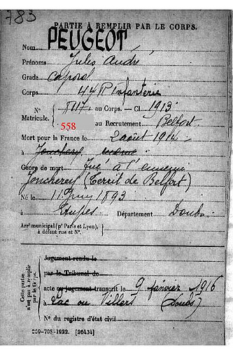 Peugeot Casualty Card