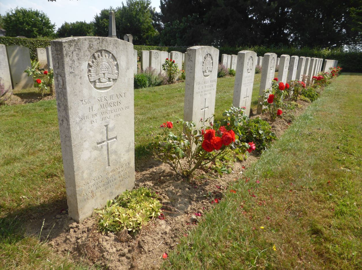 Plot 1 Row D Morris