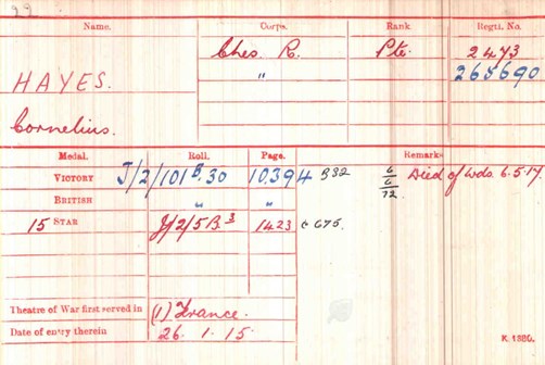 Figure 29. Medal Index Card [NA via Ancestry] (reverse is blank)