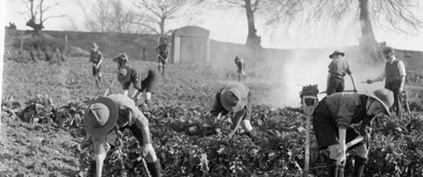 Boy Scouts at War by Colin Walker