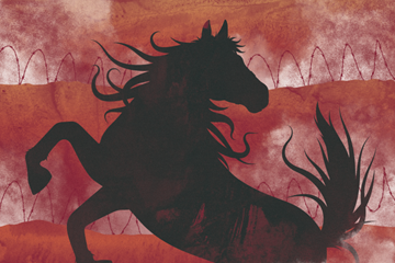 FREE EVENT 'War Horse' : behind the scenes with the film's technical advisor Any Robertshaw 25 August at 5:30pm