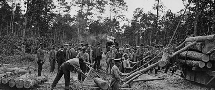 The Sawdust Fusiliers