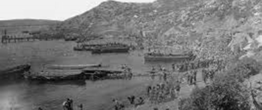 'Baby Steps at Gallipoli by Peter Hart'