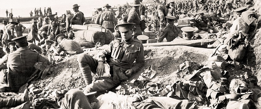 'The 29th Division: Gallipoli to the Somme 1915-1917' by Dave Griffiths