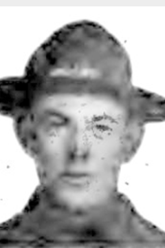 29 December 1918: Wagoner Frank Powell