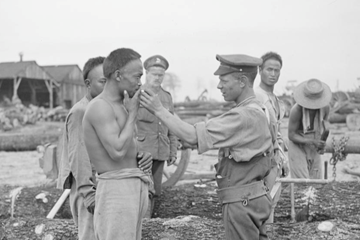 Stand To Articles on the Chinese Labour Force during the First World War
