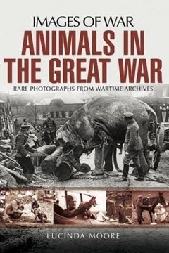 Ep. 19 – Animals in the Great War – Lucinda Moore