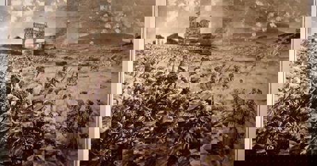 From Success To Failure At Loos