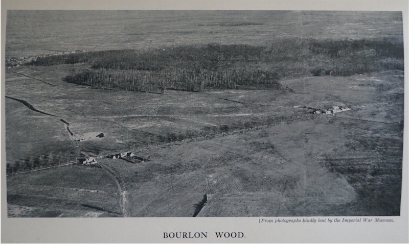 Bourlon Wood (1)