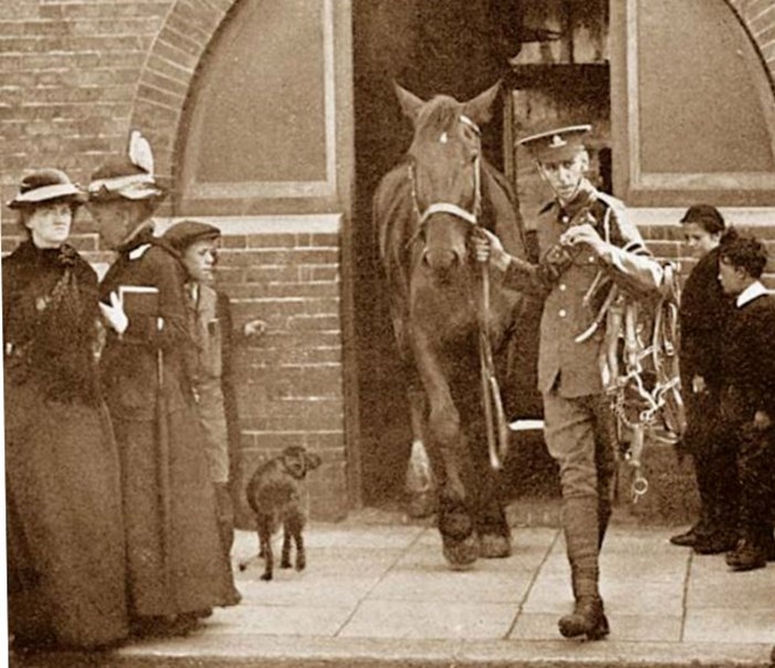 Soldiers commandeering railway horses for Army purposes at Bexhill - taking the animals from their stables. Date: 1914 Media ID 14189285 (Mary Evans Picture Library)  The military horses would come fro