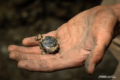 109933046 2611170432429048 8045705744950902120 O