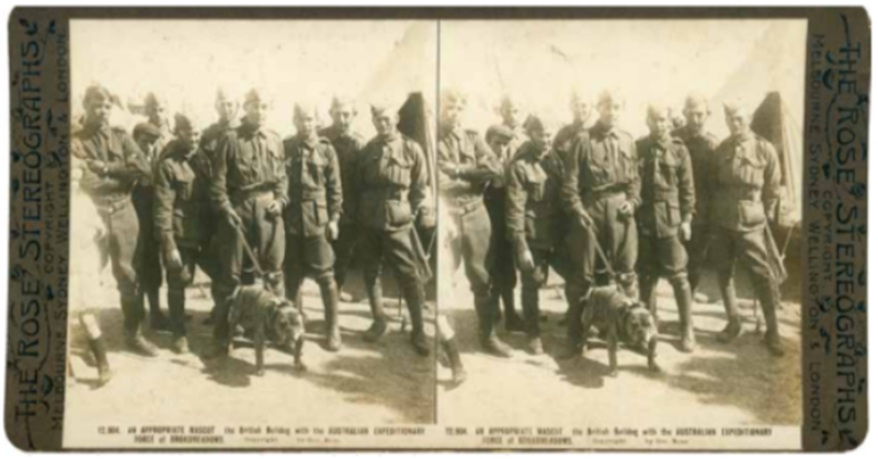 A German Dugout In Nieuport, Photographed After The War