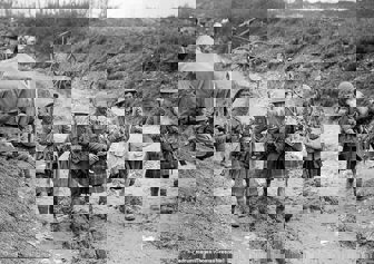 15324306 7187513 Image A 51 1561634601386