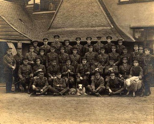 Officers From The Royal Sussex Regiment