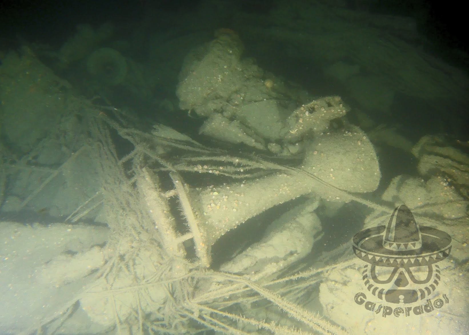 Tampa Wreck