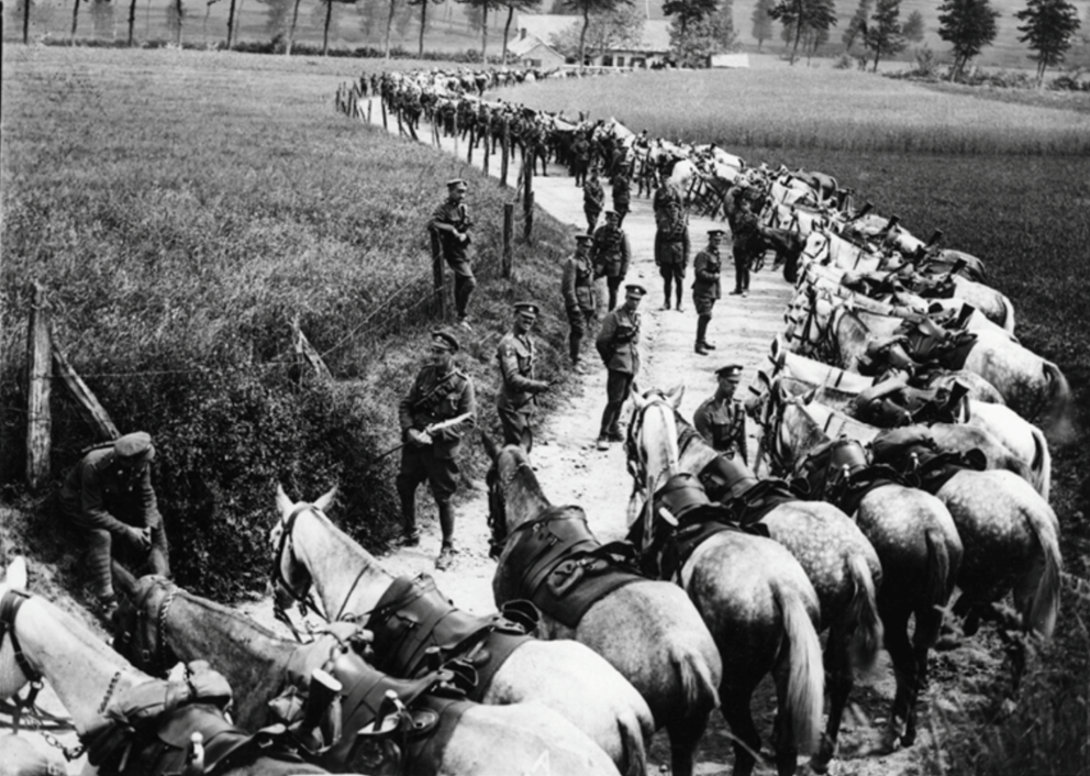 Cavalry in training. The Greys resting on the roadside. From the papers of Field Marshal (Earl) Haig (1861-1928).National Library of Scotland CC BY 4.0