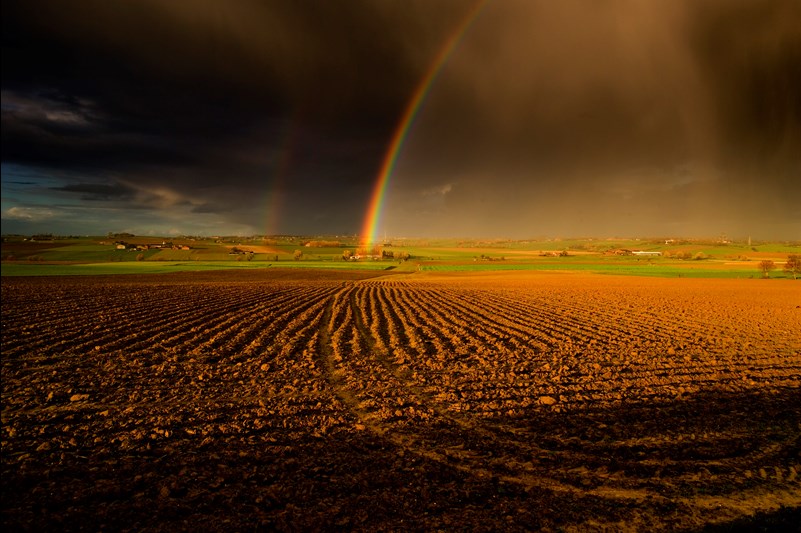 Rainbow Over The Messines Ridge