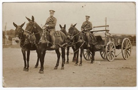 Army Service Corps GS Wagon With Four Mules.
