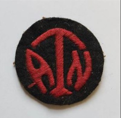 A Shoulder Patch As Worn By Members Of The Division