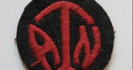 A Shoulder Patch As Worn By Members Of The Division