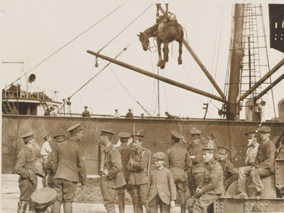 Unloading Horses At Boulogne (1)