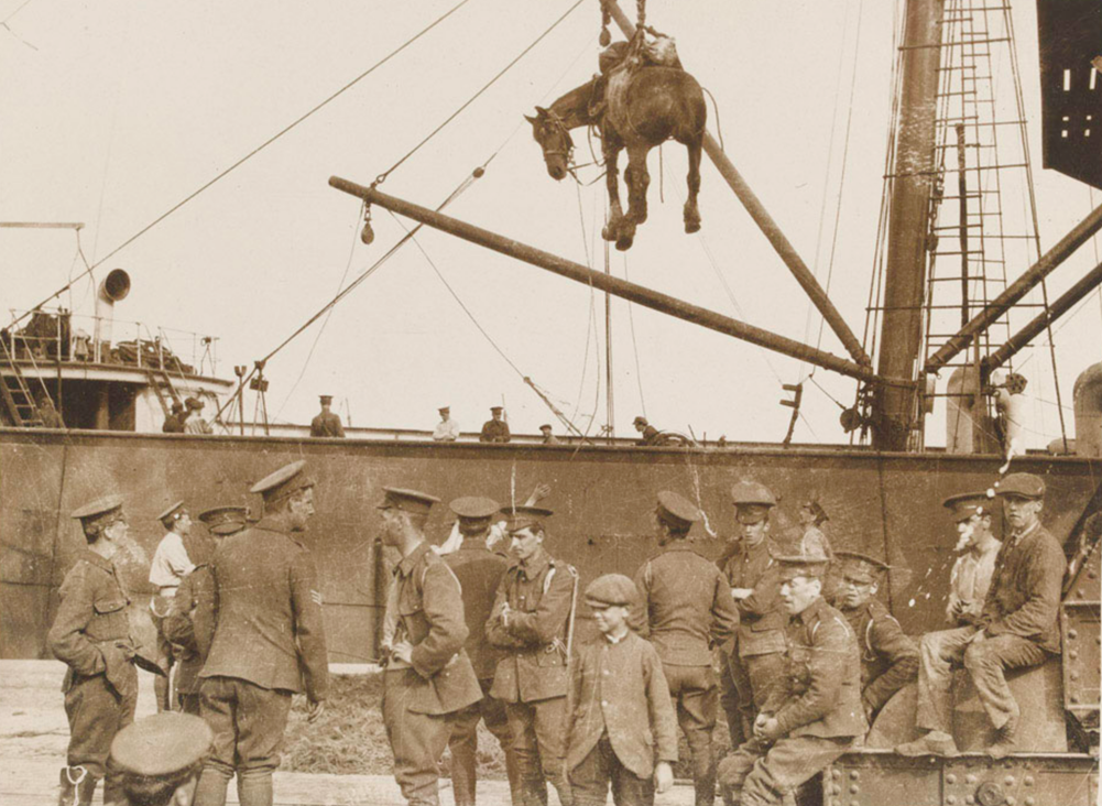 Unloading horses at Boulogne, 1916 © [Image number: 124083] NAM Out of Copyright