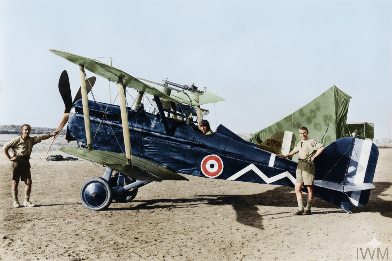 Gemini Generated Image Wncx88wncx88wncx