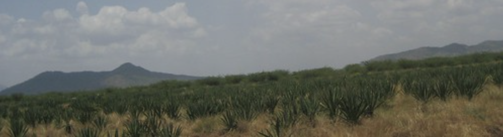 Latema Reata Ridge Line