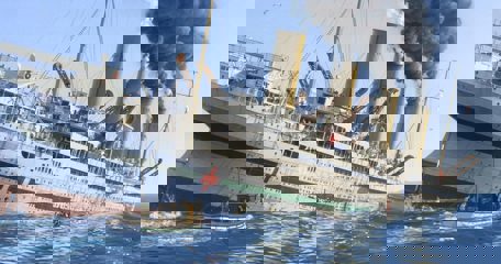 509183250 10067288063355396 5894946816054242068 N