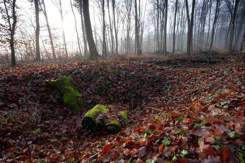 The French Trenches Where Junger Found Himself Surrounded By French Dead