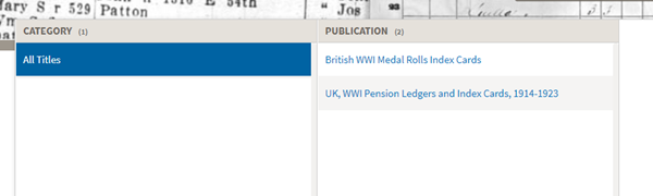 Click The Pension Ledgers And Index Card Option