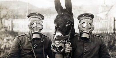 Two German Soldiers And Their Mule Wearing Gas Masks, 1916