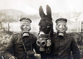 Two German Soldiers And Their Mule Wearing Gas Masks, 1916