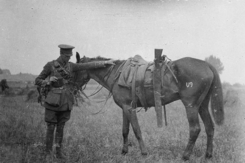 An Officer With A Uhlan Horse Captured In The Cavalry Action At Néry, 1St September 1914. Image Courtesy Of The Imperial War Museum. IWM Q 51483