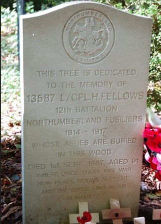 Harry Fellows Headstone Mametz Wood