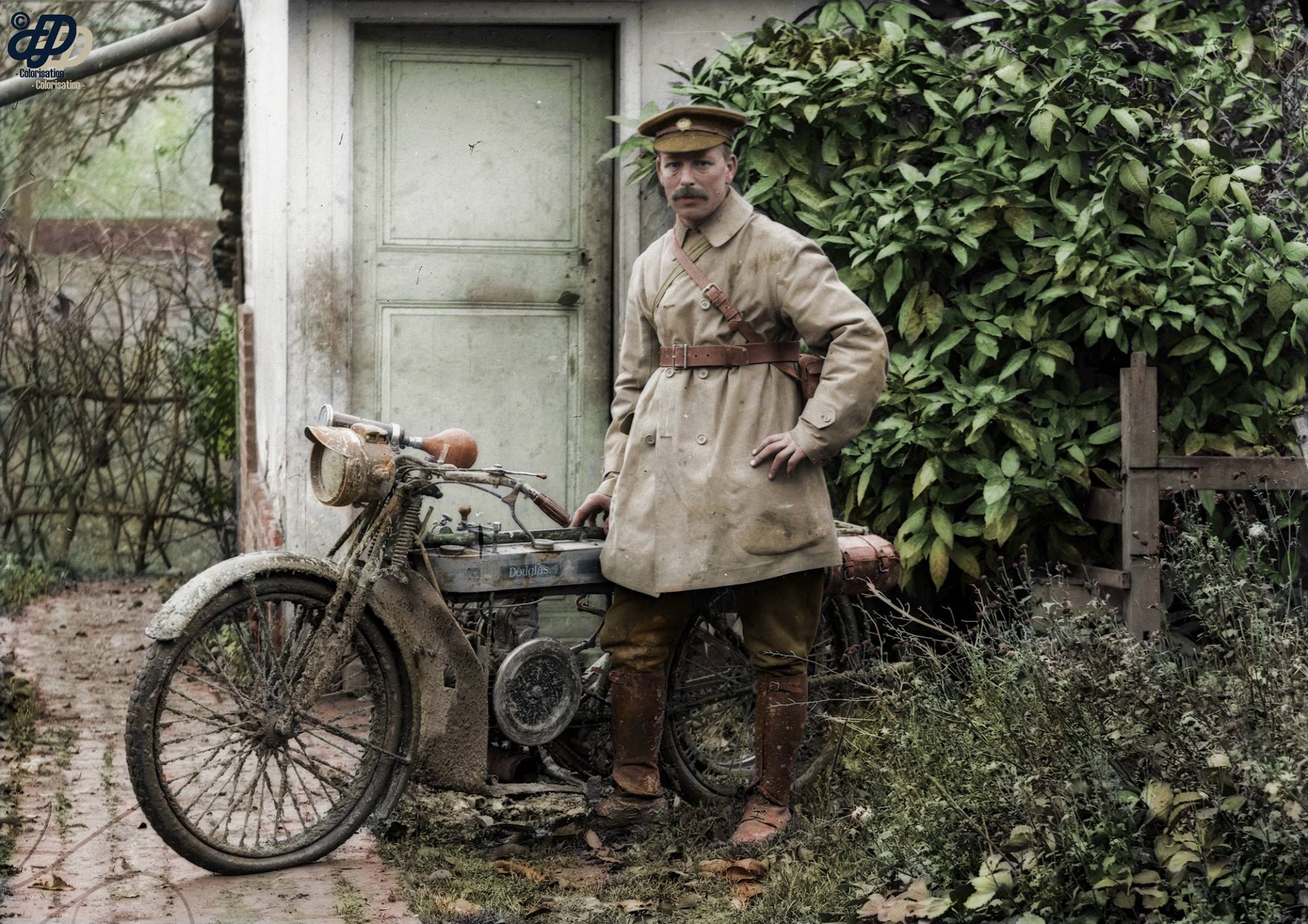 511590272 3767890973354727 3237787414358494883 N