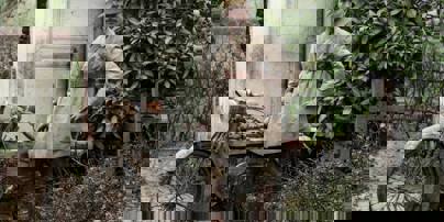 511590272 3767890973354727 3237787414358494883 N