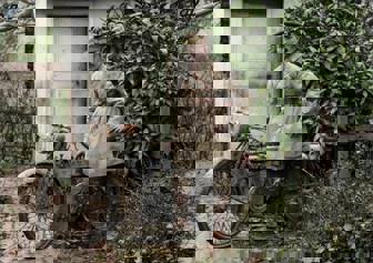 511590272 3767890973354727 3237787414358494883 N