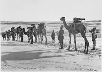 Anzac Mounted Division