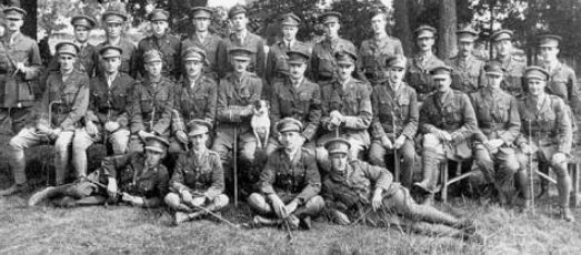 The Officers Of D Company, Heavy Section