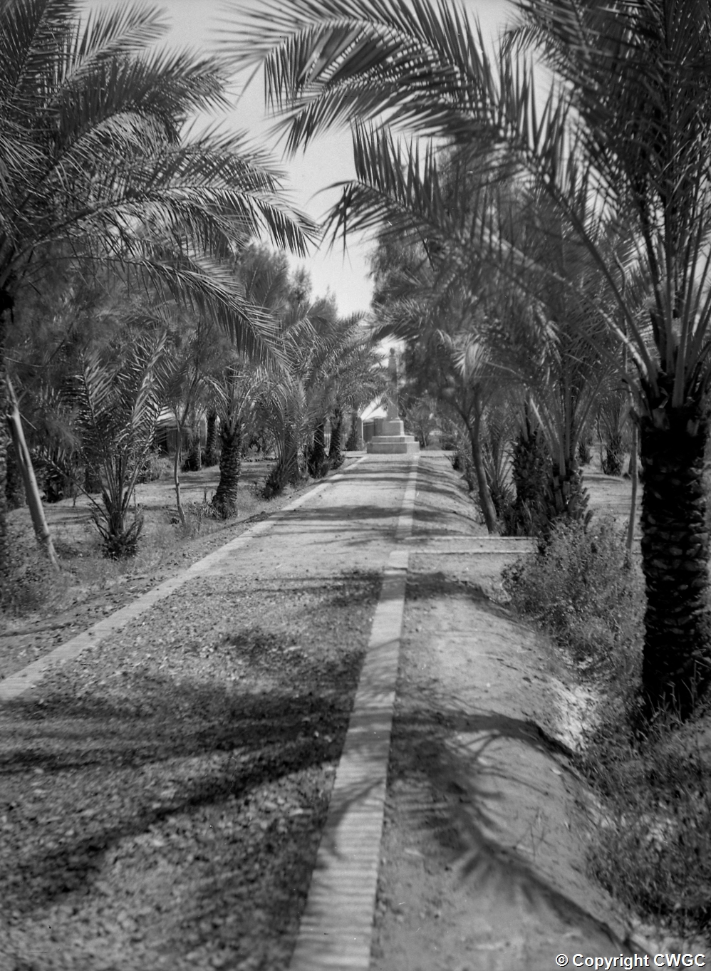 Amara Left Bank With Trees (1)