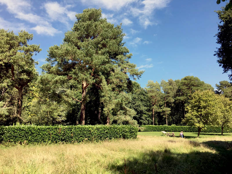 Vide Of The Whipsnade Tree Catherdral