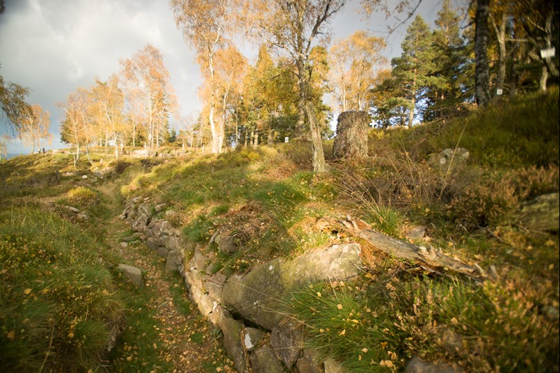 The French Front Line Trench At Le Linge