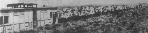 The Broken Hill Picnic Train, Packed With 1,200 Holidaymakers, That Was Ambushed On January 1, 1915. (Smithsonian.Com)