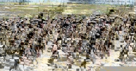 Ascending The Learning Curve